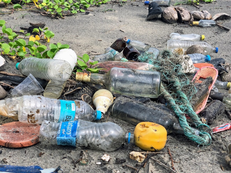 Commercial & Business Rental